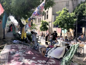 15.06.2022-21.06.2022 Babelsunciades