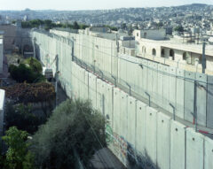 22.05.2026 19h Projections rencontres : Valérie Jouve, Taysir Batniji, Oraib Toukan