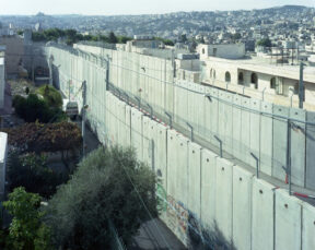 22.05.2026 19h Projections rencontres : Valérie Jouve, Taysir Batniji, Oraib Toukan